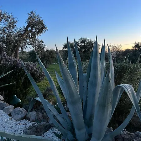 فيلة Trullo Oriale أوستوني