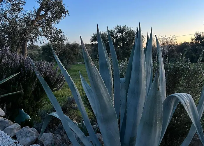 Villa Trullo Orialé Ostuni